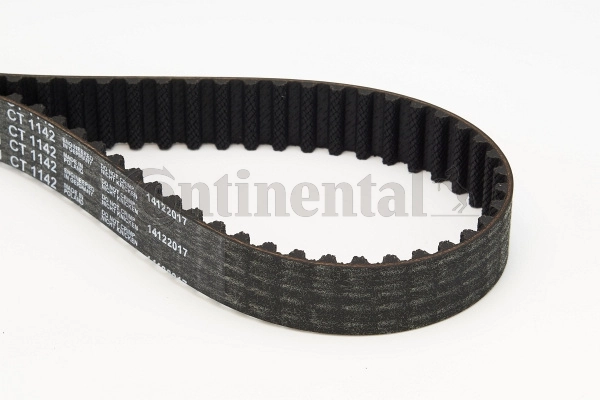 Timing Belt